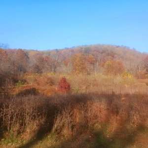 Les Marcheuses
